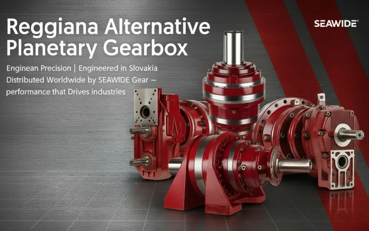 Reggiana Planetary Gearbox