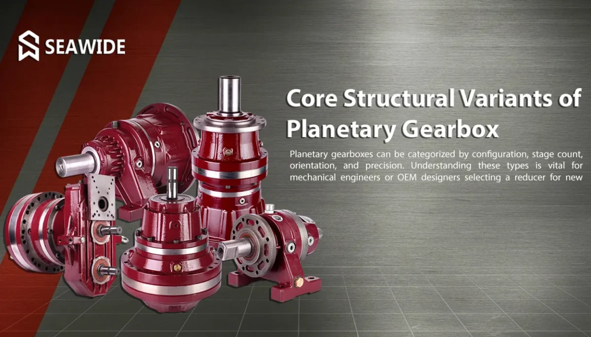 Core Structural Variants of Planetary Gearbox