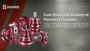 Core Structural Variants of Planetary Gearbox